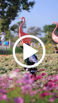 BIB:  <button type="button" onclick="openModal(27588544)" class="btn btn-primary btn-sm float-right" data-toggle="modal" data-target=".modal-high-quality">
                <i class="fa fa-download"></i> Download
                </button>